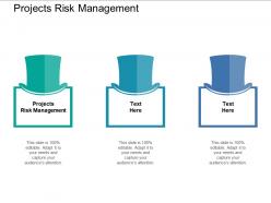 Projects risk management ppt powerpoint presentation slides template cpb