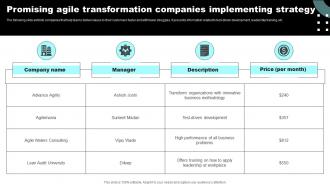 Promising Agile Transformation Companies Implementing Strategy