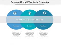 Promote brand effectively examples ppt powerpoint presentation show tips cpb