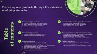 Promoting New Products Through Line Extension Marketing Strategies Branding CD V