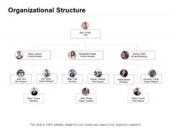 Promotion organizational structure ppt powerpoint presentation professional slides