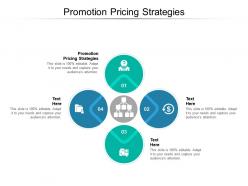 Promotion pricing strategies ppt powerpoint presentation slides summary cpb