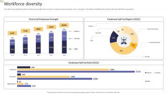 Property And Casualty Insurance Company Profile Workforce Diversity Pt Slides Infographics