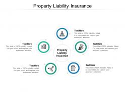 Property liability insurance ppt powerpoint presentation infographic template picture cpb