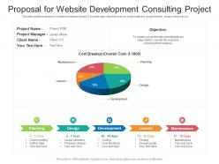 Proposal for website development consulting project