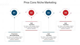 Pros Cons Niche Marketing In Powerpoint And Google Slides Cpb
