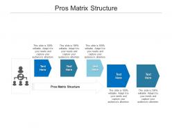 Pros matrix structure ppt powerpoint presentation model inspiration cpb