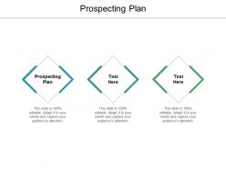 Prospecting plan ppt powerpoint presentation professional graphics download cpb