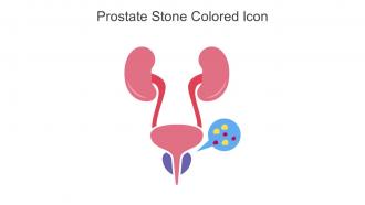 Prostate Stone Colored Icon In Powerpoint Pptx Png And Editable Eps Format