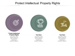 Protect intellectual property right ppt powerpoint presentation file format cpb