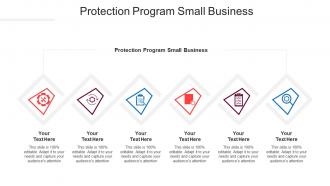 Protection Program Small Business Ppt Powerpoint Presentation Outline Good Cpb