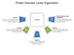 Protein overview levels organization ppt powerpoint presentation inspiration example cpb