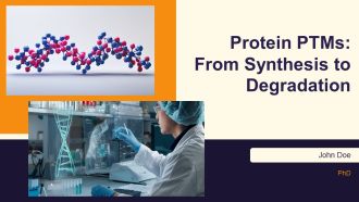 Protein Ptms From Synthesis To Degradation PPT Slides AT