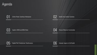 Protein Synthesis And Its Importance PPT Template AT Attractive Captivating