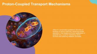 Proton Coupled Transport Mechanisms Secondary Active Transport PPT Demonstration ACP