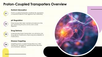 Proton Coupled Transporters Overview Secondary Active Transport PPT PowerPoint ACP