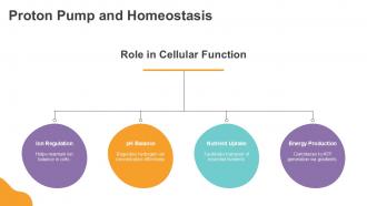 Proton Pump And Homeostasis PPT Graphics ACP