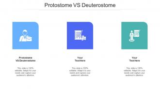 Protostome vs deuterostome ppt powerpoint presentation portfolio example cpb