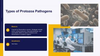 Protozoa Pathogen PPT Outline ACP Customizable Downloadable