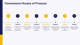 Protozoa Pathogen PPT Outline ACP Designed Downloadable