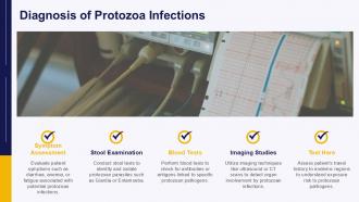 Protozoa Pathogen PPT Outline ACP Professional Downloadable