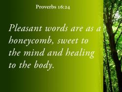 Proverbs 16 24 the soul and healing powerpoint church sermon