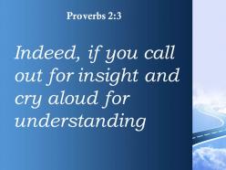 Proverbs 2 3 if you call out for insight powerpoint church sermon