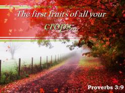 Proverbs 3 9 the first fruits of all your powerpoint church sermon