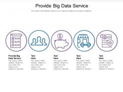 Provide big data service ppt powerpoint presentation slides skills cpb