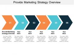 provide_marketing_strategy_overview_ppt_powerpoint_presentation_icon_background_designs_cpb_Slide01