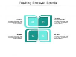 Providing employee benefits ppt powerpoint presentation outline diagrams cpb