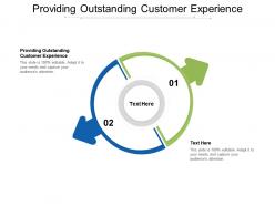Providing outstanding customer experience ppt powerpoint presentation icon maker cpb