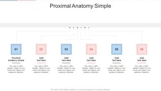 Proximal Anatomy Simple In Powerpoint And Google Slides Cpb