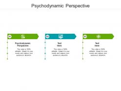Psychodynamic perspective ppt powerpoint presentation model slides cpb