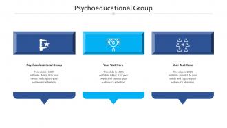 Psychoeducational group ppt powerpoint presentation layouts sample cpb