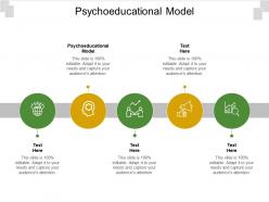 Psychoeducational model ppt powerpoint presentation file brochure cpb