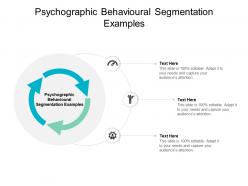 Psychographic behavioural segmentation examples ppt powerpoint ideas cpb