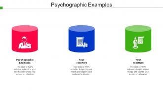 Psychographic Examples Ppt Powerpoint Presentation Infographics Slide Portrait Cpb