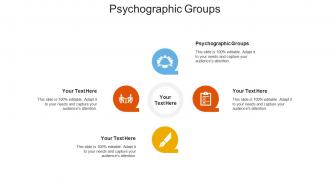 Psychographic groups ppt powerpoint presentation infographic template example cpb