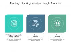 Psychographic segmentation lifestyle examples ppt powerpoint presentation infographics graphics tutorials cpb