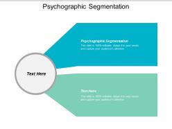 Psychographic segmentation ppt powerpoint presentation gallery elements cpb