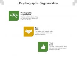 Psychographic segmentation ppt powerpoint presentation professional graphic tips cpb