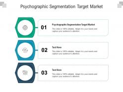Psychographic segmentation target market ppt powerpoint presentation ideas slides cpb