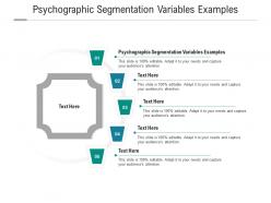 Psychographic segmentation variables examples ppt powerpoint presentation icon skills cpb