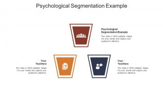 Psychological segmentation example ppt powerpoint presentation infographic template background cpb