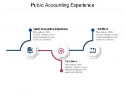 Public accounting experience ppt powerpoint presentation infographic template outfit cpb