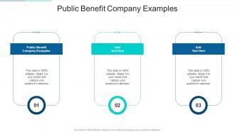 Public Benefit Company Examples In Powerpoint And Google Slides Cpb