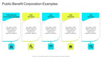 Public Benefit Corporation Examples In Powerpoint And Google Slides Cpb