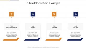 Public Blockchain Example In Powerpoint And Google Slides Cpb