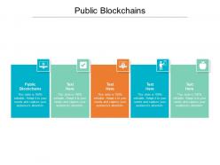 Public blockchains ppt powerpoint presentation icon slides cpb